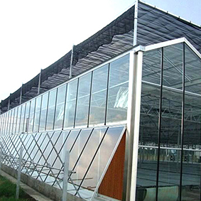 内蒙古玻璃大棚